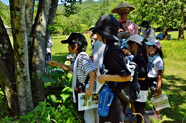 夏の公園ツアーの写真