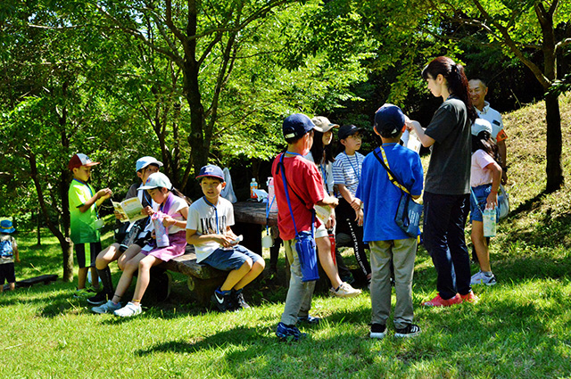 夏の公園ツアーの写真