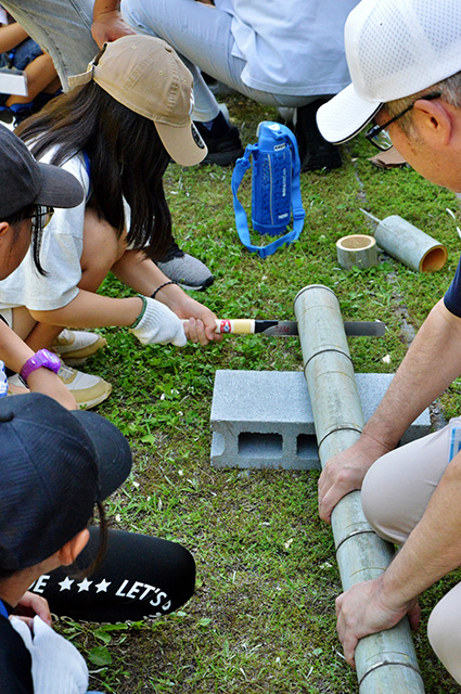 夏の公園ツアーの写真