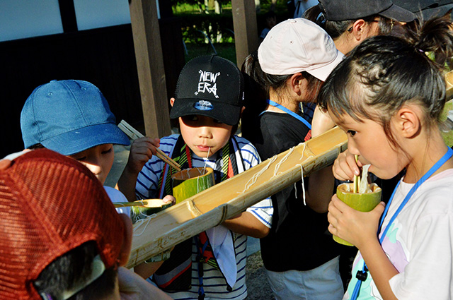 夏の公園ツアーの写真