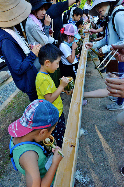 夏の公園ツアーの写真