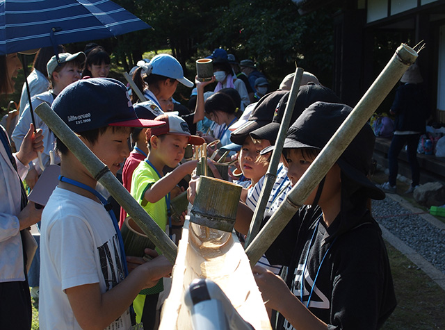 夏の公園ツアーの写真