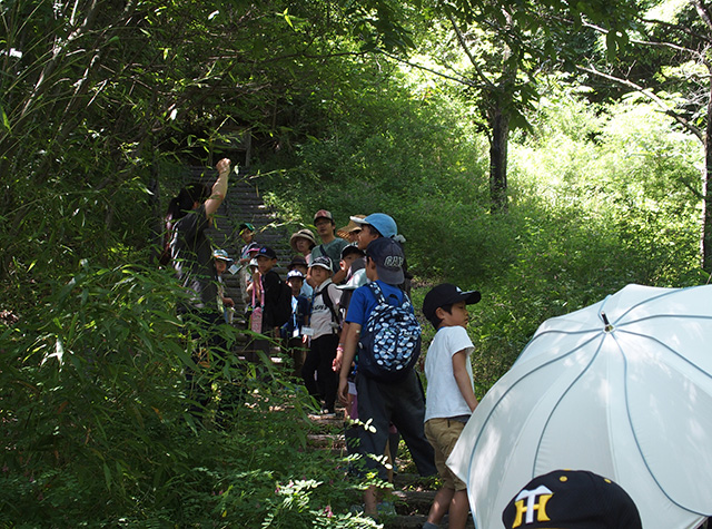 夏の公園ツアーの写真