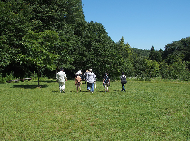 夏の公園ツアーの写真