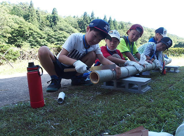 夏の公園ツアーの写真