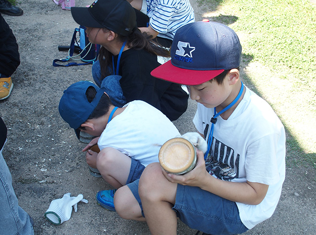 夏の公園ツアーの写真