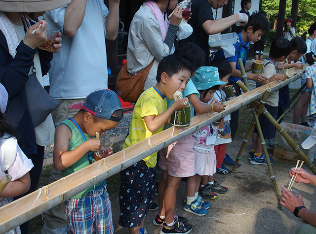 夏の公園ツアーの写真