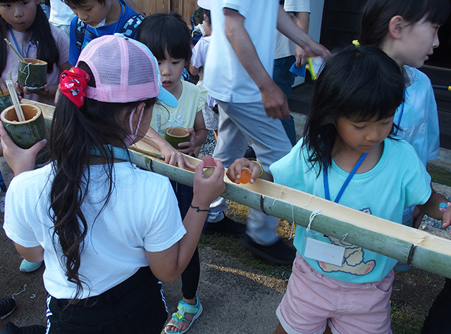 夏の公園ツアーの写真