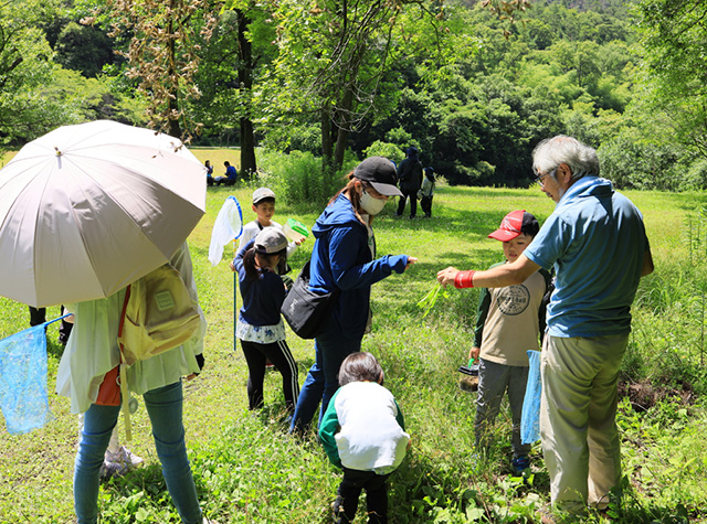 自然体験塾「初夏の昆虫おもしろ楽習」の写真