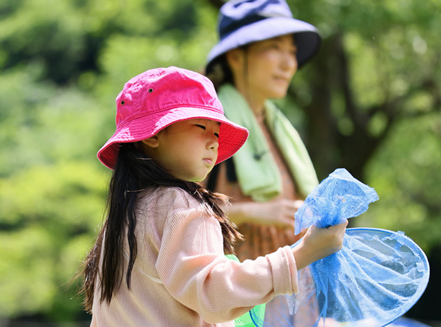 自然体験塾「初夏の昆虫おもしろ楽習」の写真