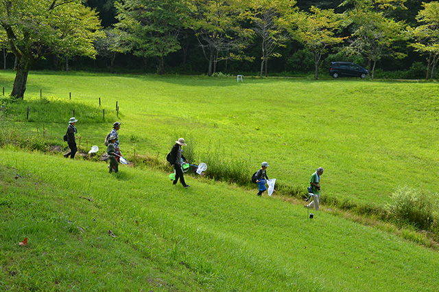 自然体験塾「盛夏の昆虫おもしろ楽習」の写真