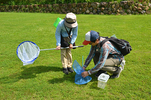 自然体験塾「盛夏の昆虫おもしろ楽習」の写真