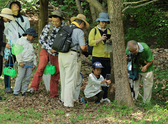 自然体験塾「盛夏の昆虫おもしろ楽習」の写真