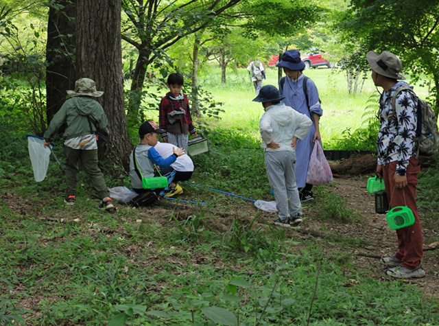 自然体験塾「盛夏の昆虫おもしろ楽習」の写真