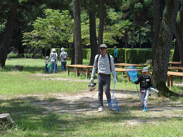 親子で楽しもう！真夏の虫とり体験の写真