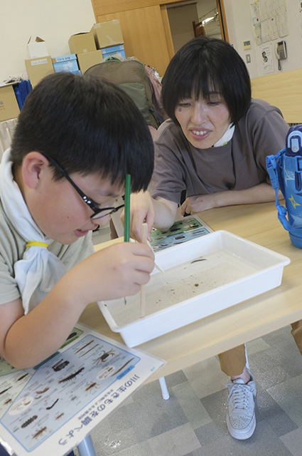 水辺の環境教室（水生昆虫の採取と観察）の写真