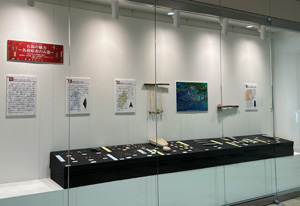 展示の写真