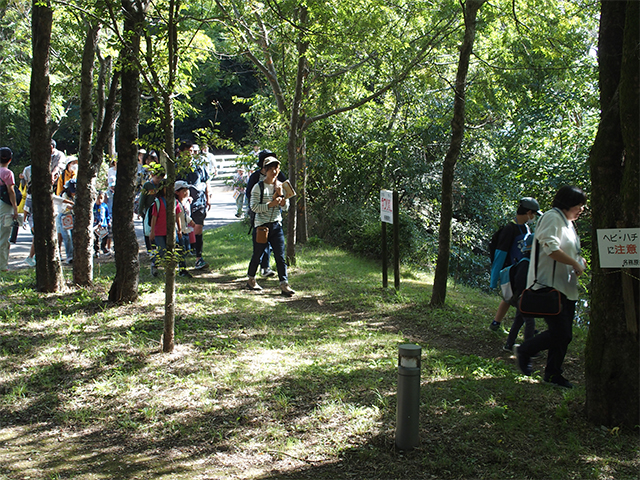 秋の公園ツアーの写真