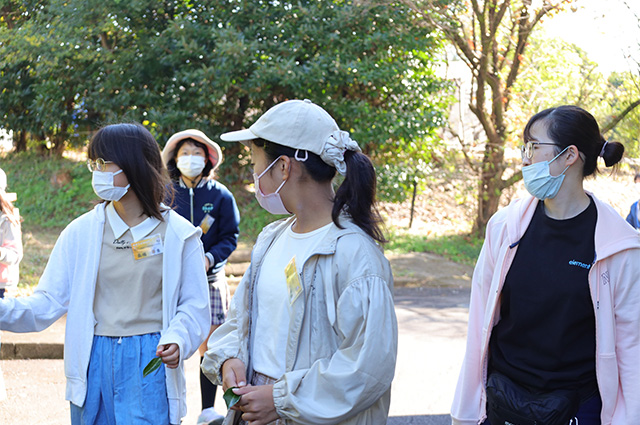 各務野科学ラボ「科学的な植物画を書いてみよう」の写真