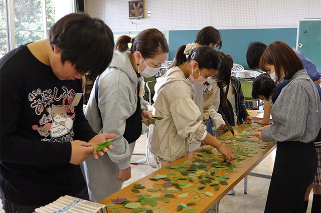 各務野科学ラボ「科学的な植物画を書いてみよう」の写真