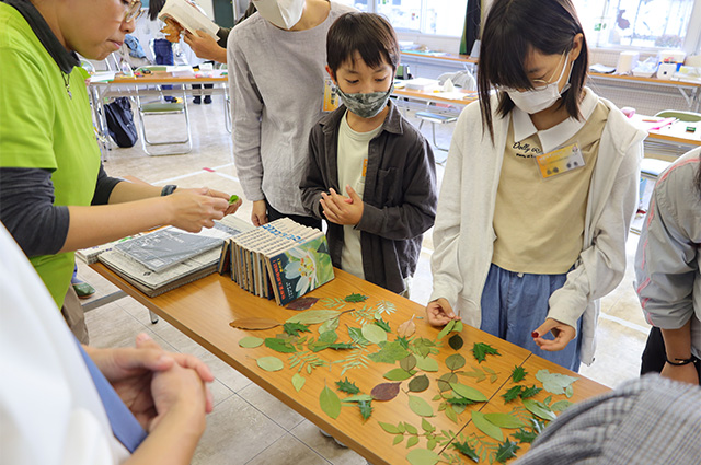 各務野科学ラボ「科学的な植物画を書いてみよう」の写真