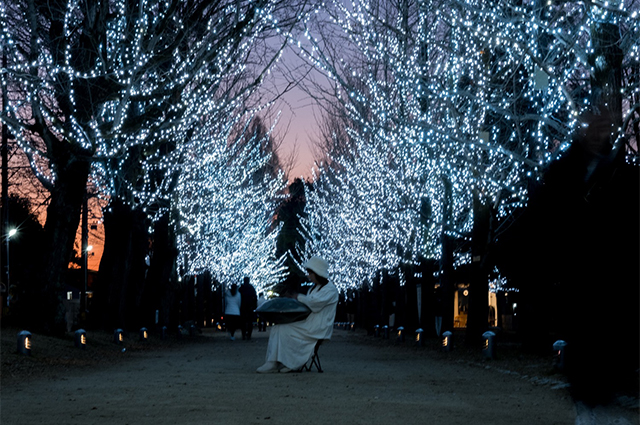 学びの森イルミネーションの写真