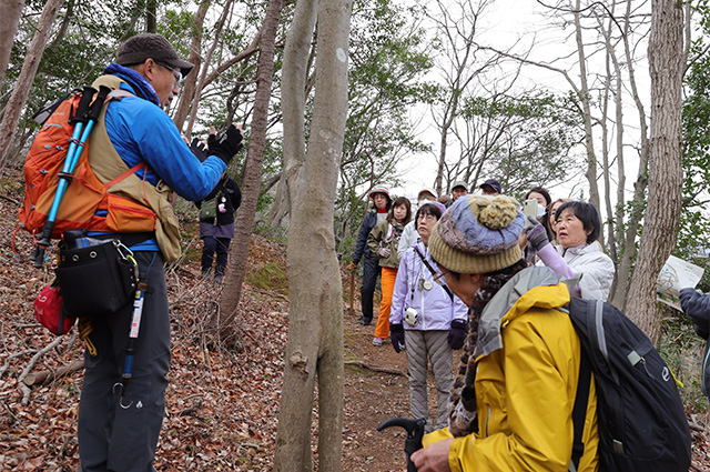 バードコールを作って、伊木山で野鳥と会話してみようの写真