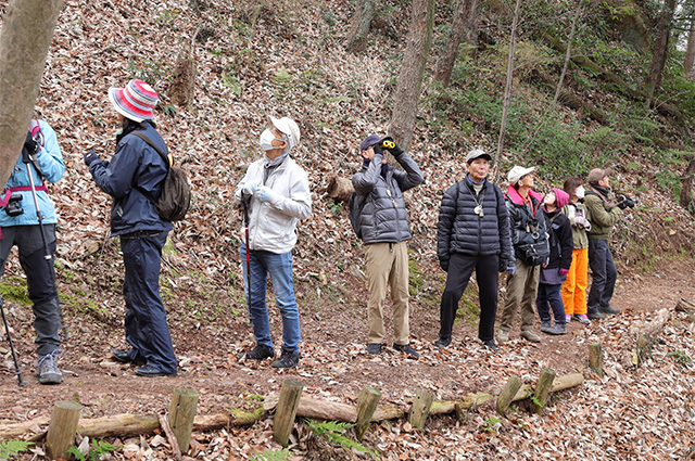 バードコールを作って、伊木山で野鳥と会話してみようの写真