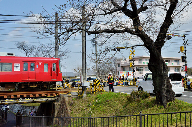 第48回各務原市桜まつりの写真