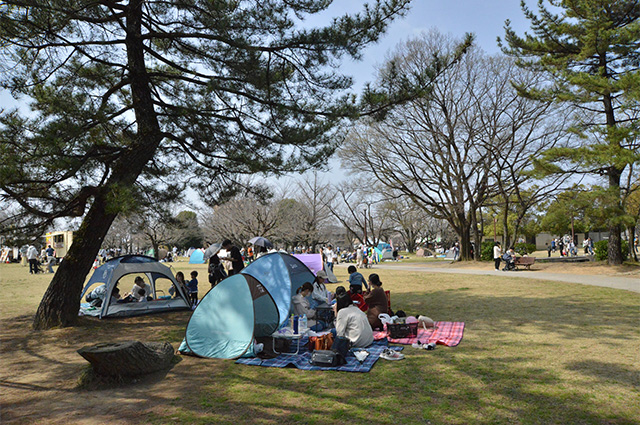 第48回各務原市桜まつりの写真