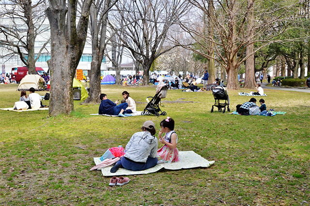 第48回各務原市桜まつりの写真