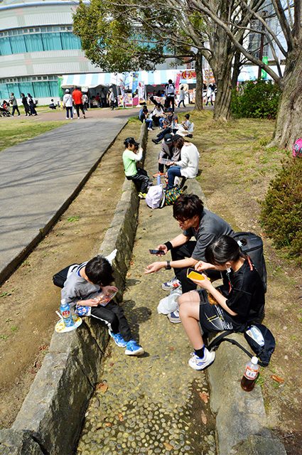 第48回各務原市桜まつりの写真