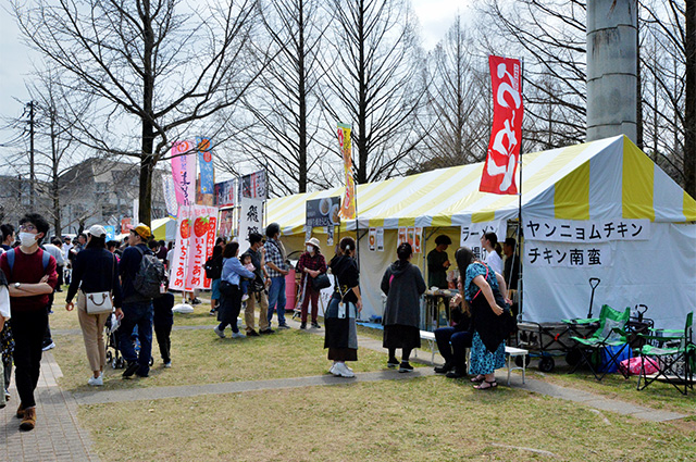 第48回各務原市桜まつりの写真