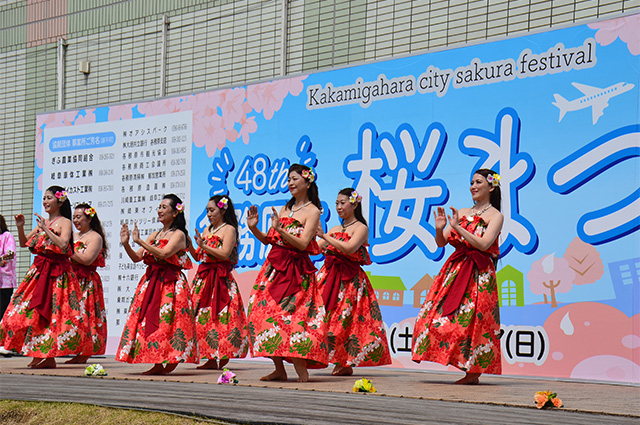 第48回各務原市桜まつりの写真