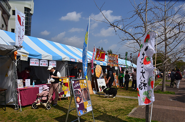 第48回各務原市桜まつりの写真