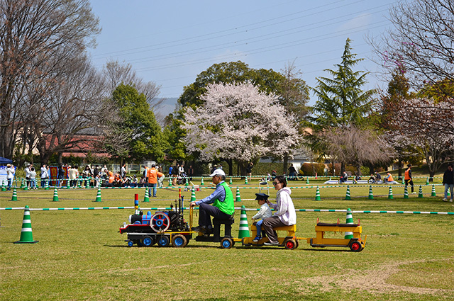 第48回各務原市桜まつりの写真