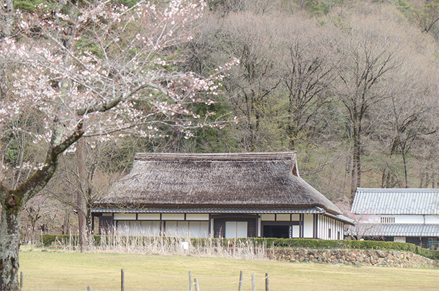 春の各務野自然遺産の森の写真