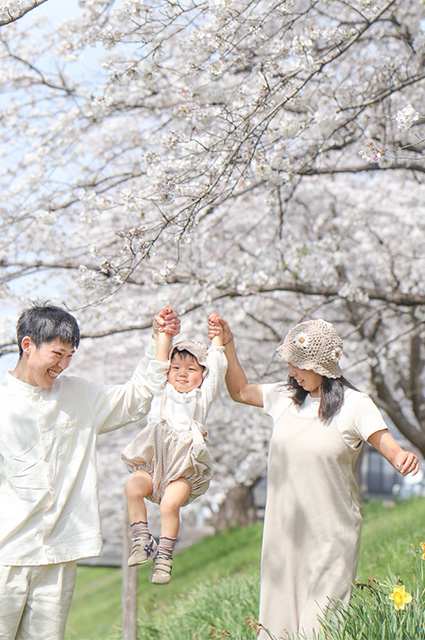 大安寺川沿いの桜並木の写真