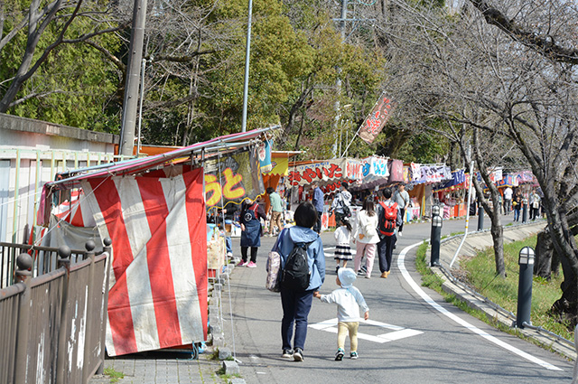 第48回各務原市桜まつりの写真