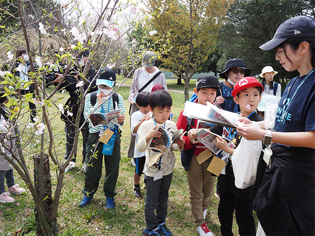 春の公園ツアーの写真