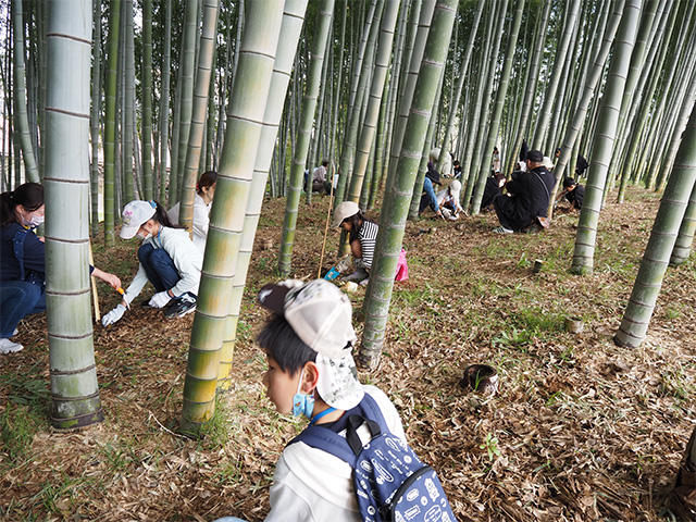 春の公園ツアーの写真