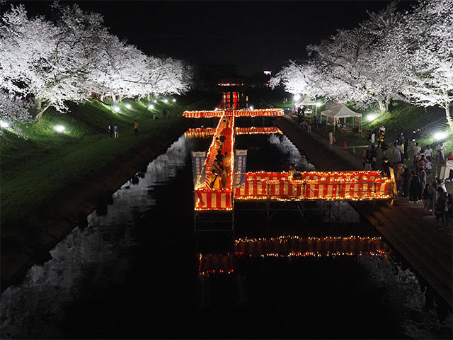 第48回各務原市桜まつりの写真