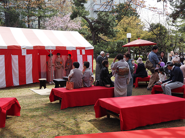 第48回各務原市桜まつりの写真