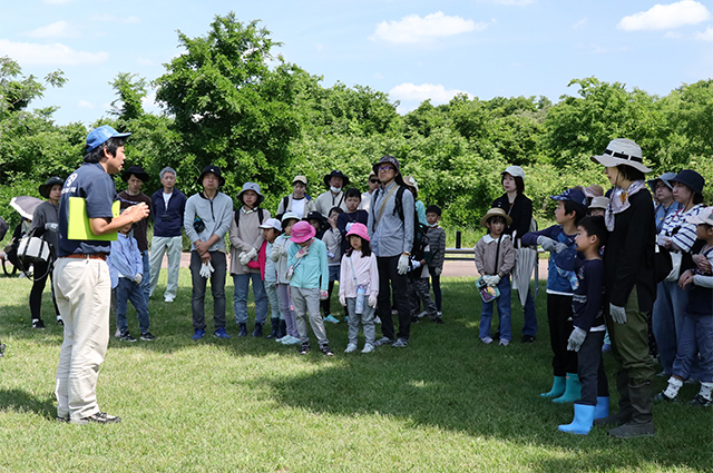 親子環境学習「オオキンケイギクの抜き取りと染物体験」の写真