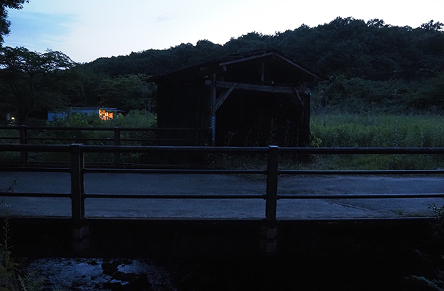 大安寺川のホタルの写真