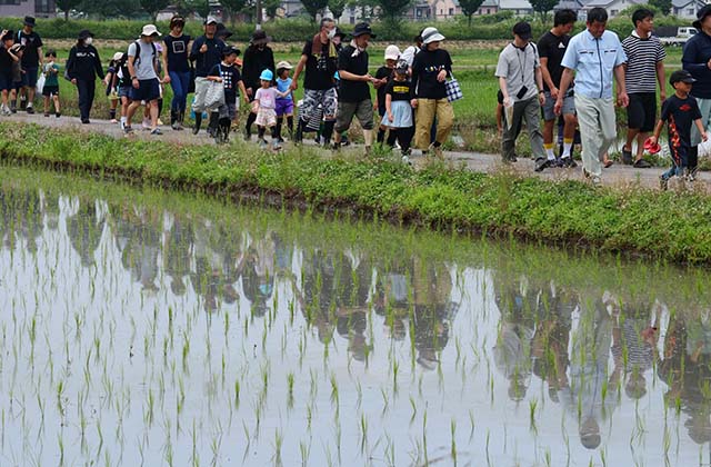 稲作体験「田植え体験」の写真
