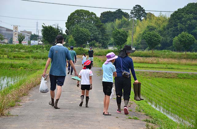 稲作体験「田植え体験」の写真