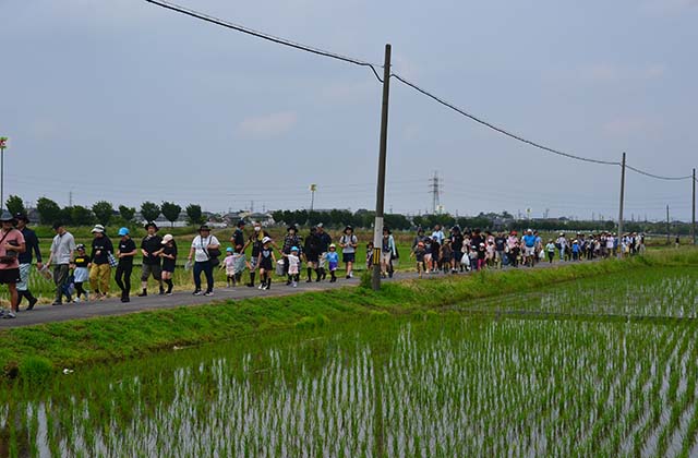 稲作体験「田植え体験」の写真