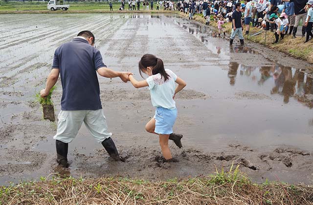 稲作体験「田植え体験」の写真