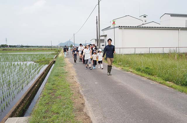 稲作体験「田植え体験」の写真